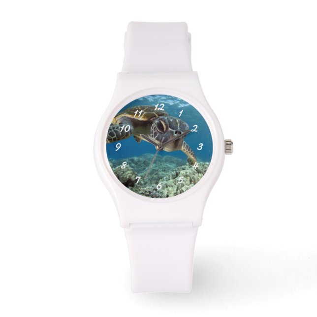 Montre Tortue verte hawaïenne (Recto)