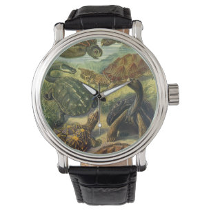 Montre Tortues de mer vintages de Terre par Ernst Haeckel