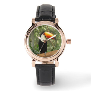 Montre Toucan sur branche d'arbre