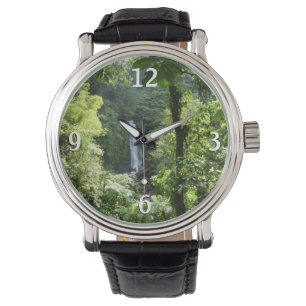 Montre Trafalgar Falls Tropical Rainforest Photographie