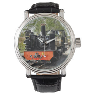 MONTRE TRAINS À VAPEUR