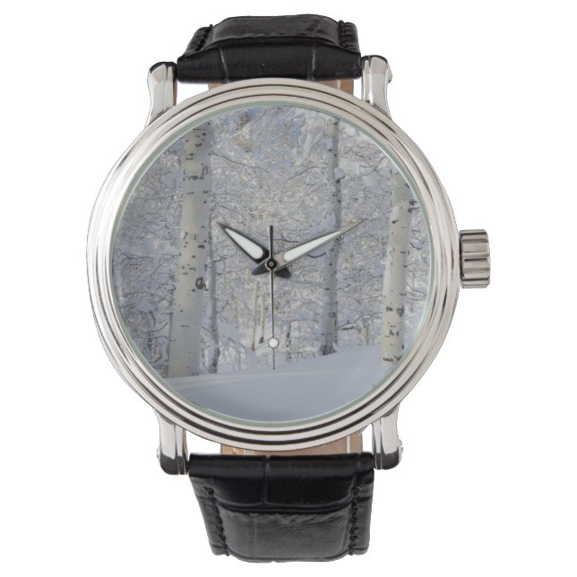 Montre Trembles Couverts de Neige, Beartrap-Desolation Ri (devant)