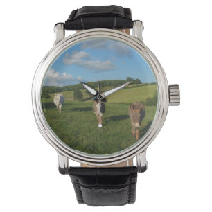 Montre Trois ânes dans un domaine
