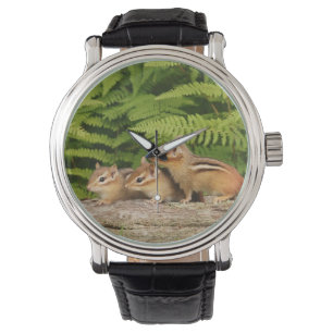Montre Trois tamia mignonnes de bébé