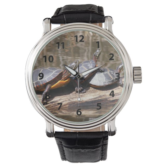 Montre Trois Tortues Sur Une Voie De Journal (devant)