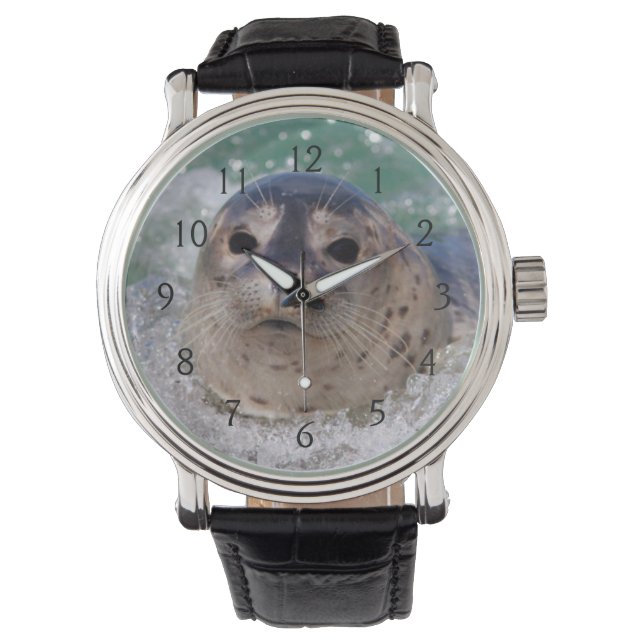 Montre Un bébé phoque surfant (devant)