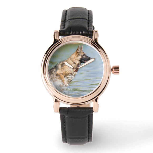 Montre Un Berger Allemand Saute Dans L'Eau (Recto)