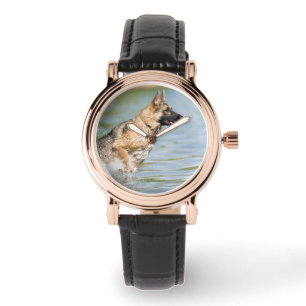 Montre Un berger allemand se jette dans l'eau