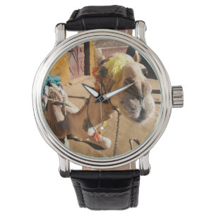 Montre Un chameau amical attend son prochain cavalier, Le