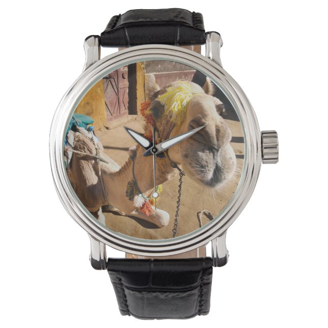 Montre Un chameau amical attend son prochain cavalier, Le (devant)