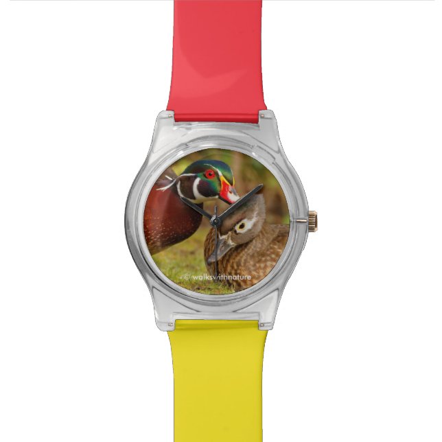 Montre Un moment de contact entre les canards à bois dans (Fermer)