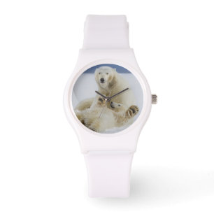 Montre Un ours polaire féminin et son petit jouent dans l