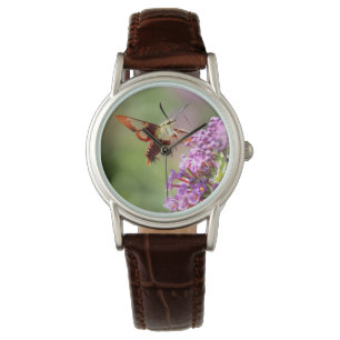 Montre Un papillon de nuit sur un papillon