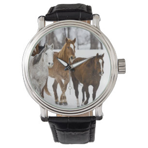 Montre Un paysage hivernal de course