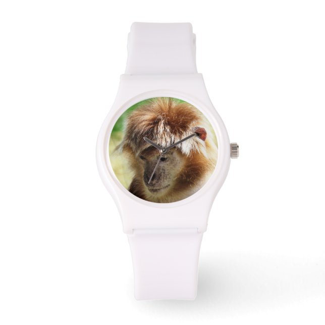 MONTRE UN PEU DE SINGE (Recto)