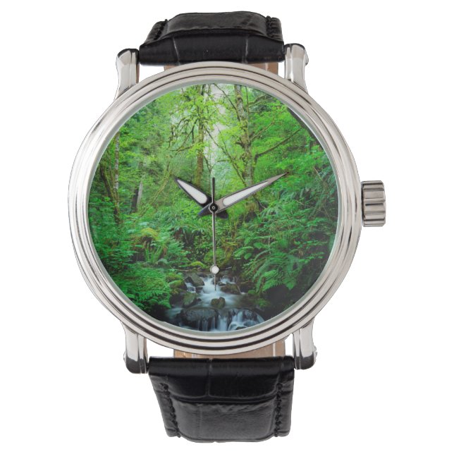 Montre Un ruisseau dans une forêt ancienne (devant)