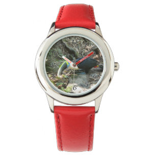 Montre Un toucan est perché sur des racines d'arbre sur