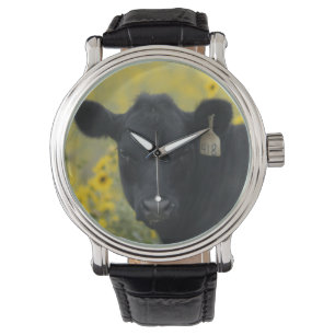 Montre Un veau au milieu des tournesols du Nebraska
