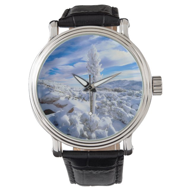 Montre Un yucca enneigé (devant)