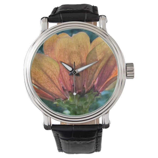 Montre Une fleur de zinnia orange rétro-éclairée (devant)