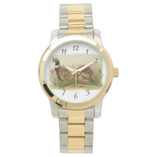 Montre Une paire de faisans à cou Ring dans un champ de p