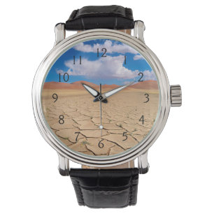 Montre Une plaine désertique fissurée