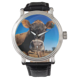 Montre Une vache jersey curieuse