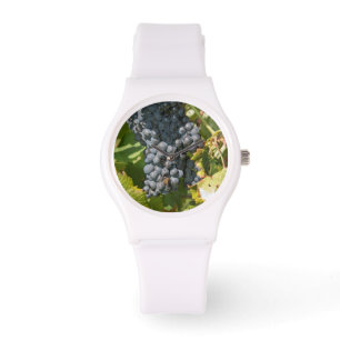 Montre Uruguay, Montevideo, Colon Area. Bodegas