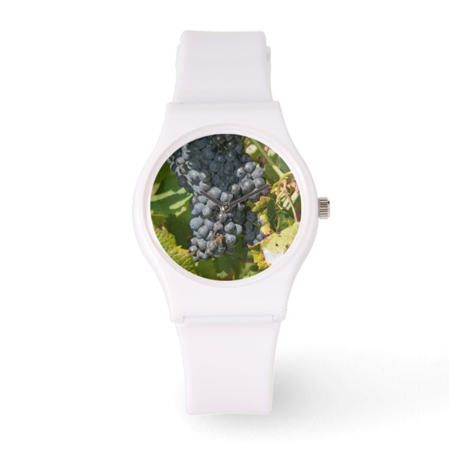 Montre Uruguay, Montevideo, Colon Area Bodegas (Recto)