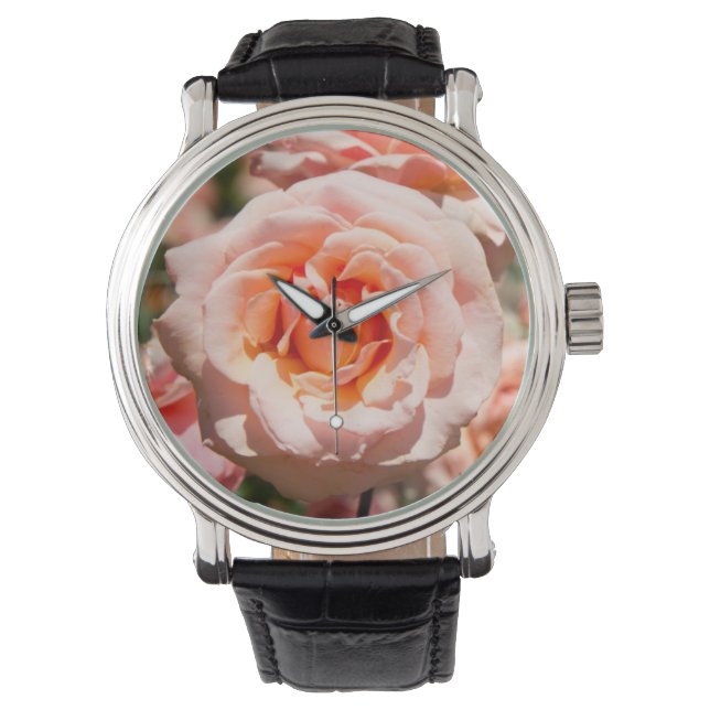 Montre USA, Alabama, Theodore Near Mobile 5 (devant)