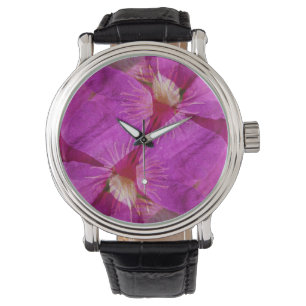 Montre USA, Colorado, Boulder. Montage de fleurs de Clema