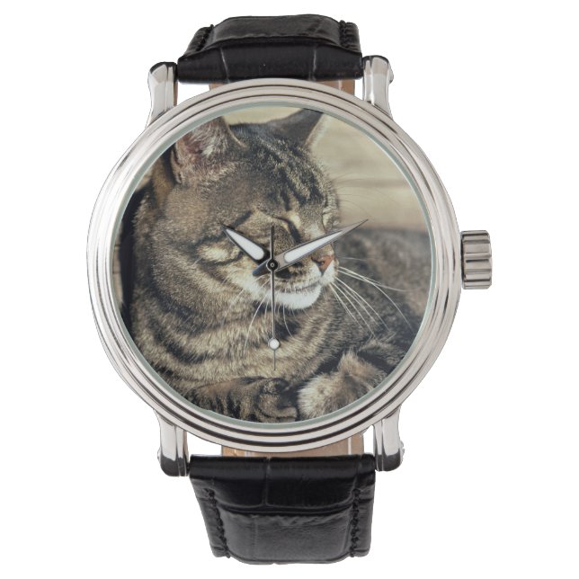 Montre USA, Utah, Capitol Reef NP. Tablette dormante (devant)