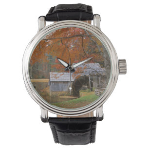Montre USA, Virginie, Blue Ridge Parkway, automne