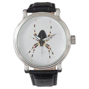Montre Veille d'araignée