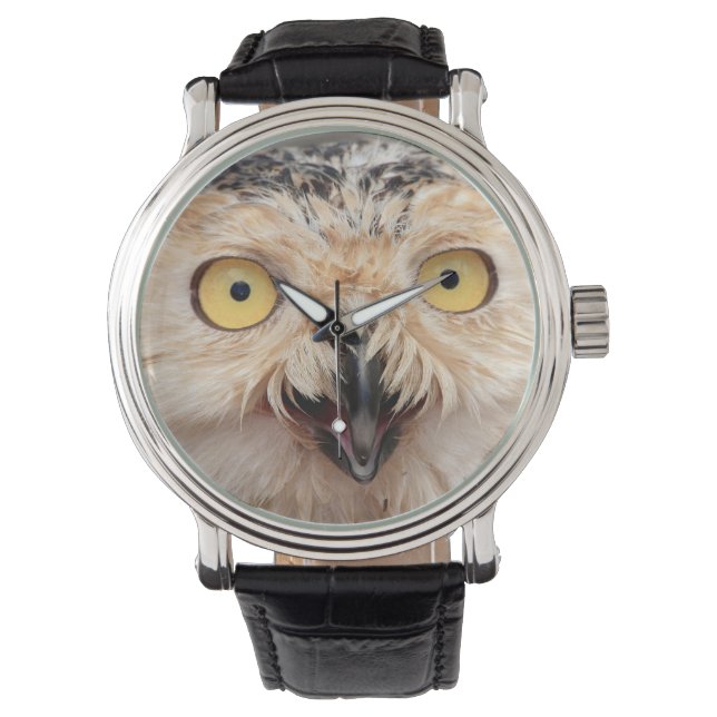 Montre Veille de jeunes Harfangs des neiges (devant)