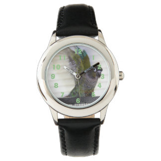 Montre Veille de l'aile