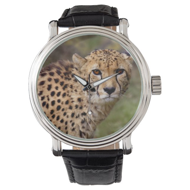 Montre Veille du guépard (devant)