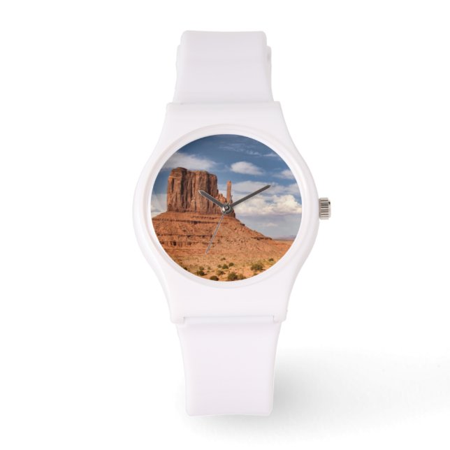 Montre View of the Mittens (Recto)
