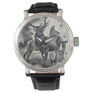 Montre Vintage 1800s Red Deer Illustration Stag Doe Fawn