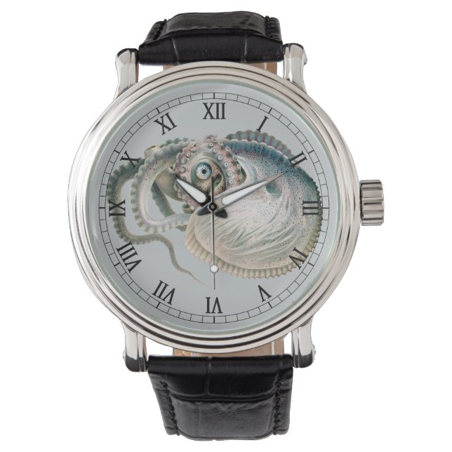 Montre Vintage Octopus Argonaut, Marine Life Animaux (devant)