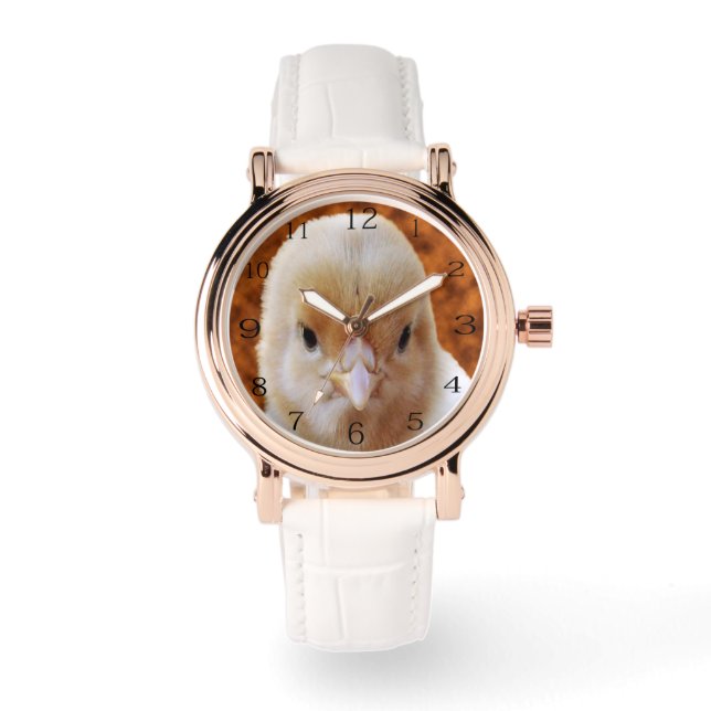 Montre Visage de poussin, (Recto)