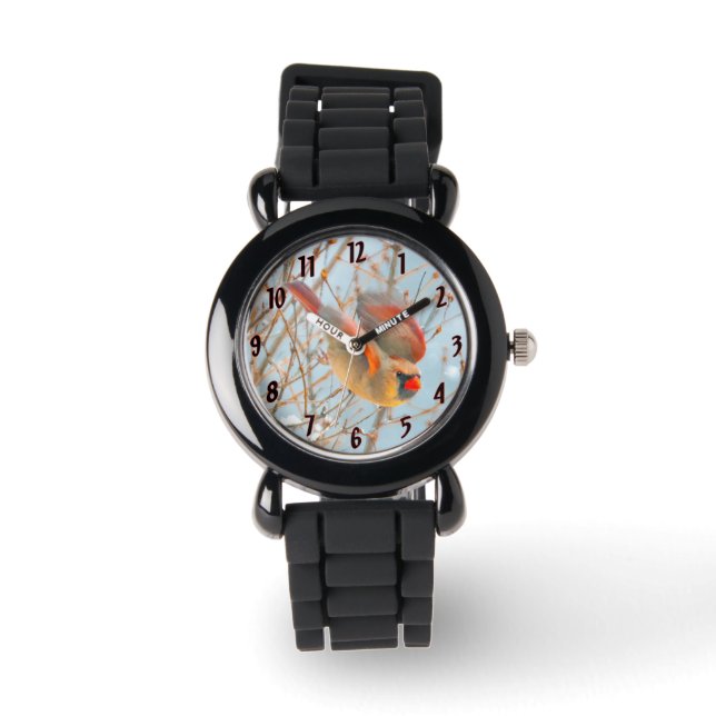 Montre Vol Cardinal Nord - Photo originale (Recto)