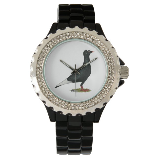 Montre Vol Casquette noir Pigeon (devant)