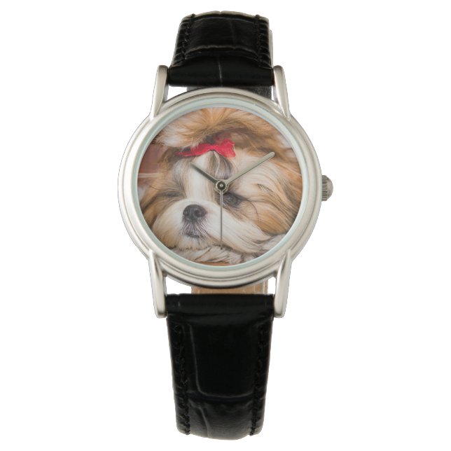 Montre Votre chiot chien animal de compagnie photo person (devant)