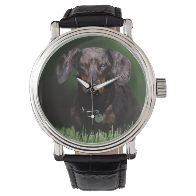 Montre Vue de Dachshund couleur panaché (devant)