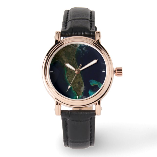 Montre Vue Satellite Sur La Floride. (Recto)