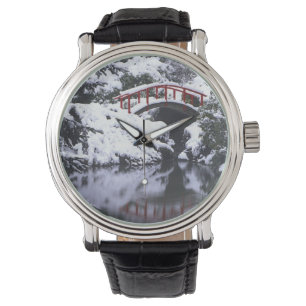 Montre WA, Seattle, pont et étang de Moon après l'hiver