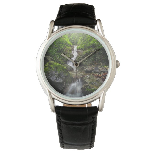 Montre Waterfalls | Phayao Mountain National Park (devant)