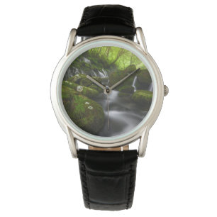 Montre Waterfalls Satoyama Kisakata Waterfalls