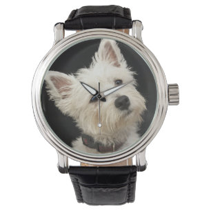 Montre Westie (terrier des montagnes occidental) avec le